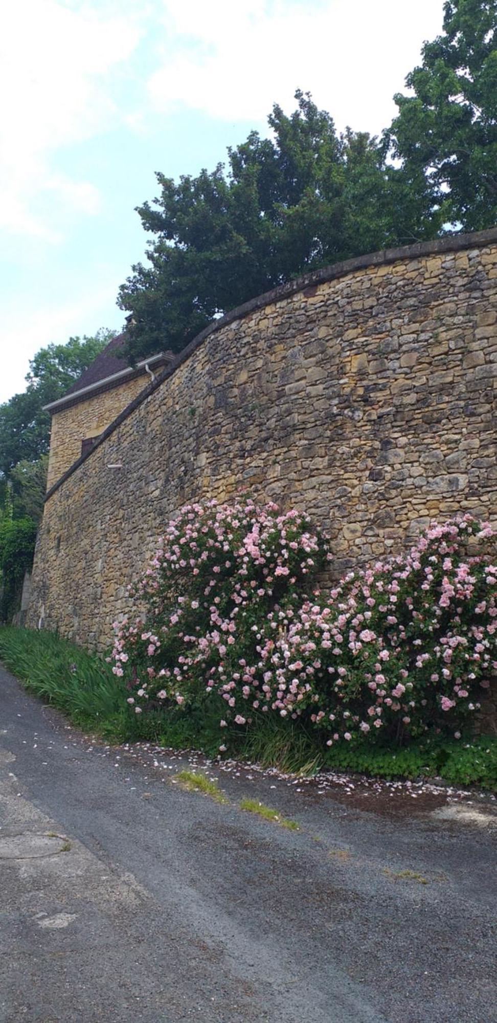 Vakantiehuis Le Baron Perche